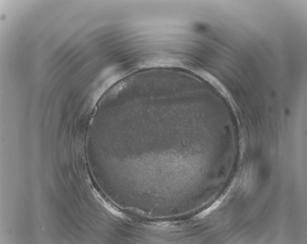 X0000061151337200511210952