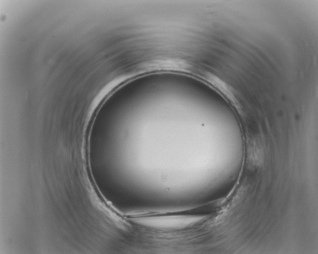 X0000061151339200511210952