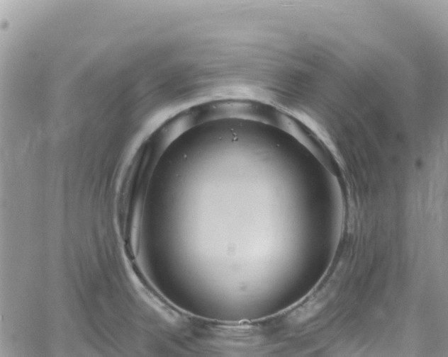 X0000061151342200511210952