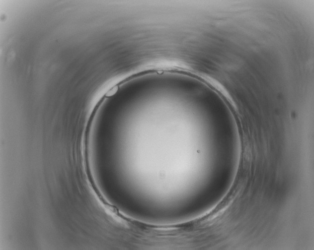 X0000061151343200511210952