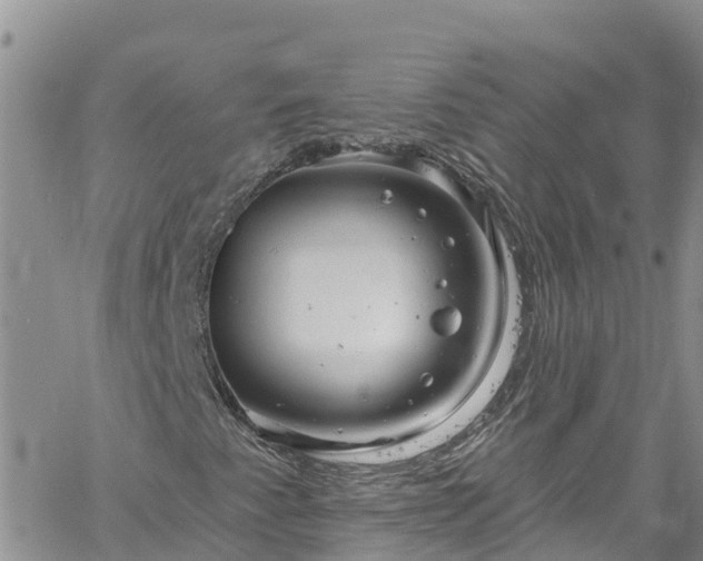 X0000061151345200511210951