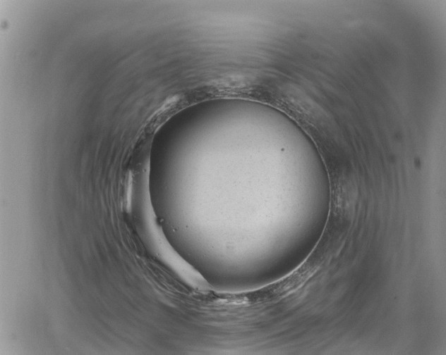 X0000061151346200511210951