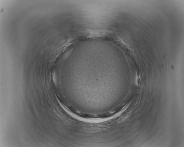 X0000061151348200511210951