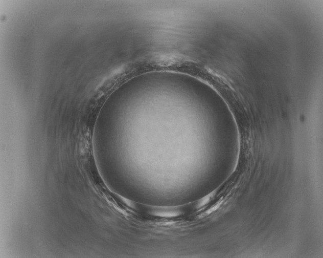 X0000061151349200511210951