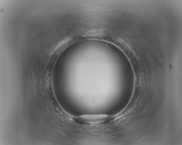 X0000061151350200511210951