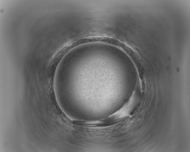 X0000061151351200511210951