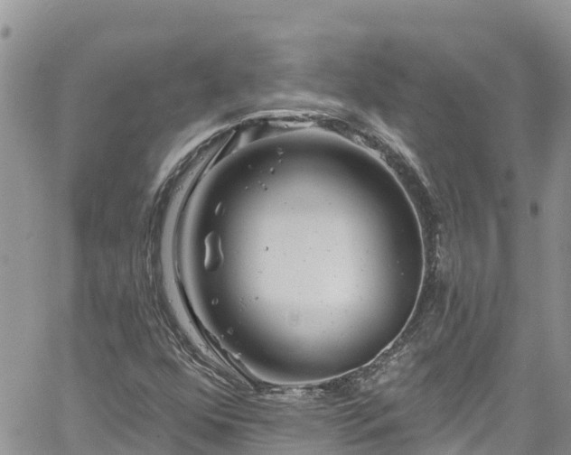 X0000061151352200511210951