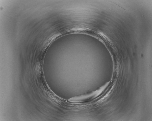 X0000061151353200511210951