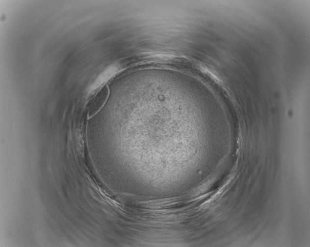 X0000061151354200511210951