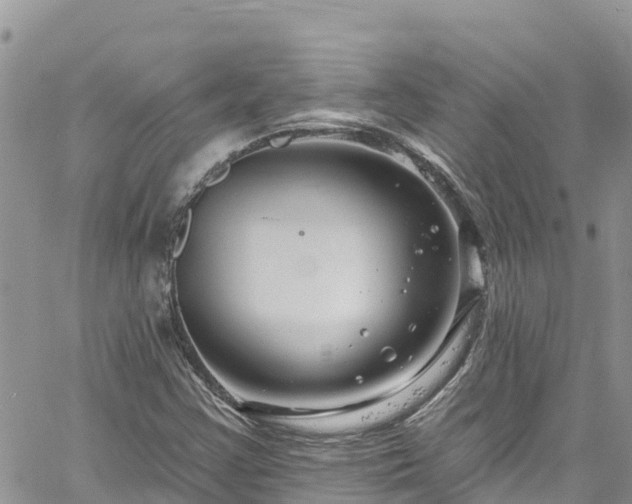 X0000061151355200511210951