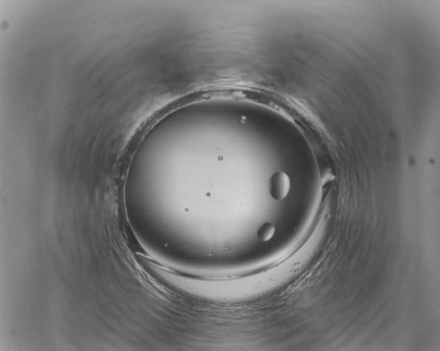 X0000061151356200511210951