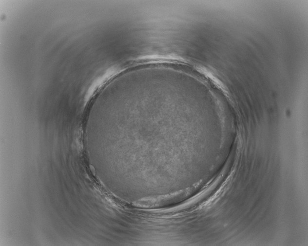 X0000061151357200511210951