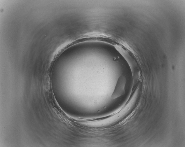 X0000061151358200511210951