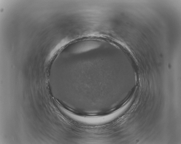 X0000061151359200511210951