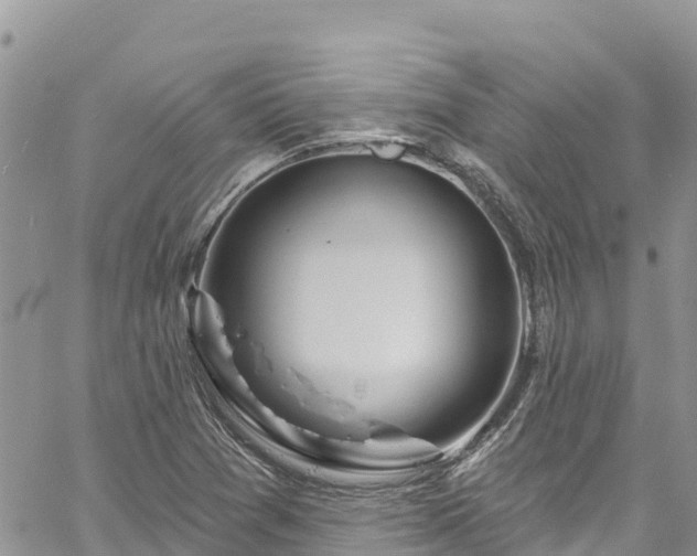 X0000061151361200511210951