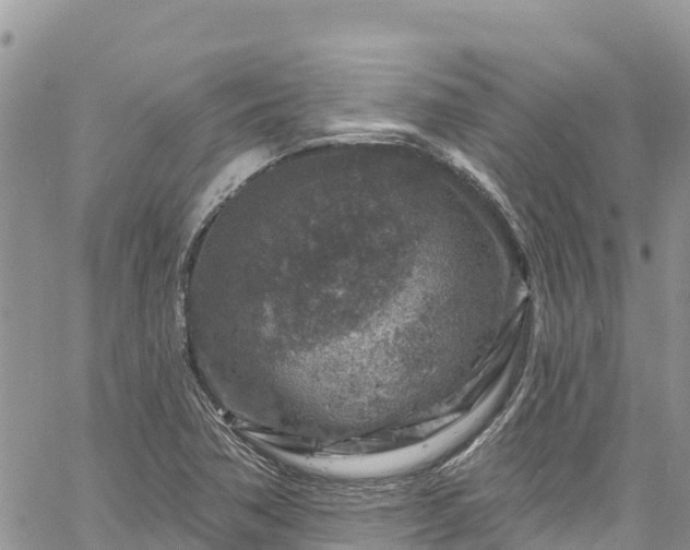 X0000061151362200511210951