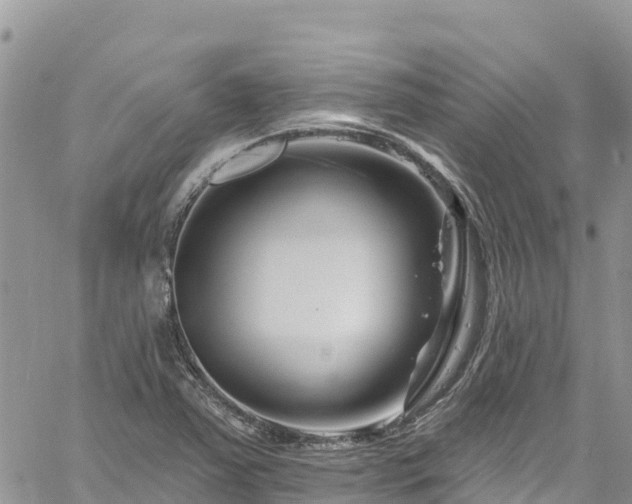 X0000061151363200511210951