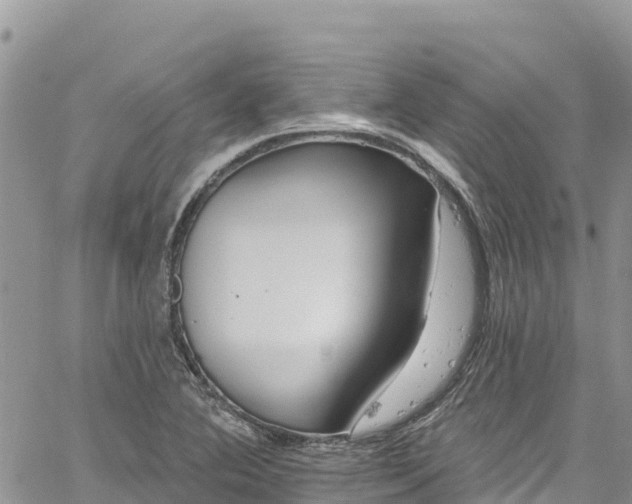 X0000061151364200511210951