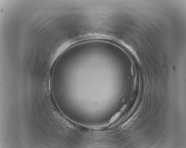 X0000061151365200511210951