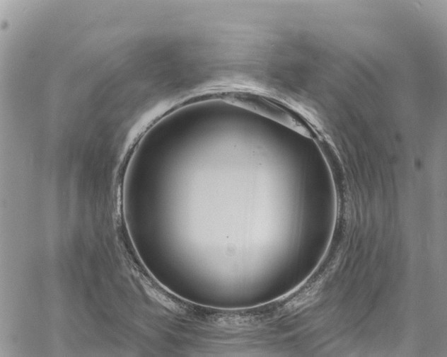 X0000061151366200511210950