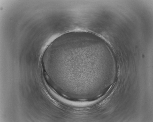 X0000061151367200511210950