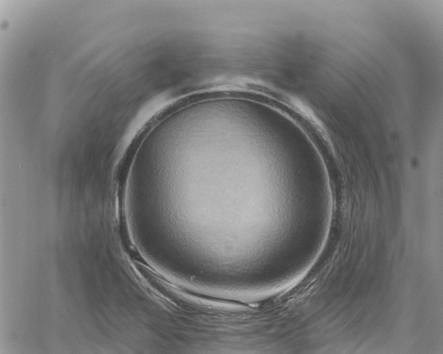 X0000061151368200511210950