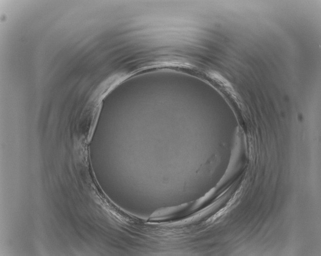 X0000061151369200511210950