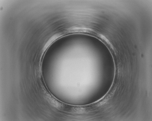 X0000061151370200511210950