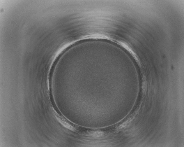 X0000061151372200511210950