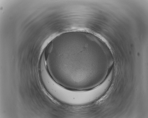 X0000061151373200511210950