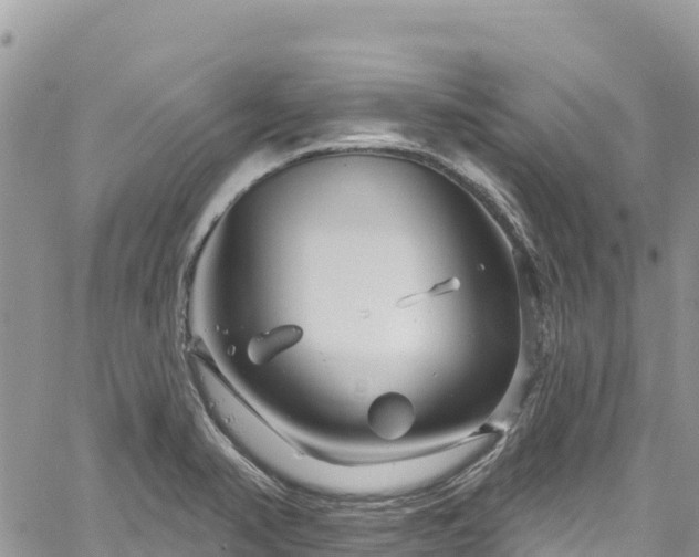 X0000061151374200511210950