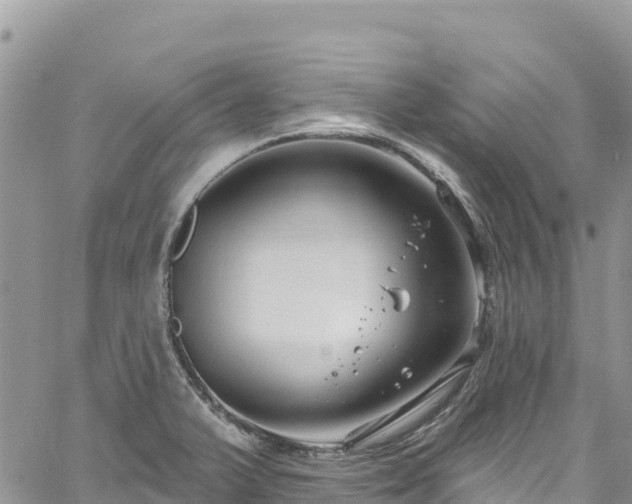 X0000061151375200511210950