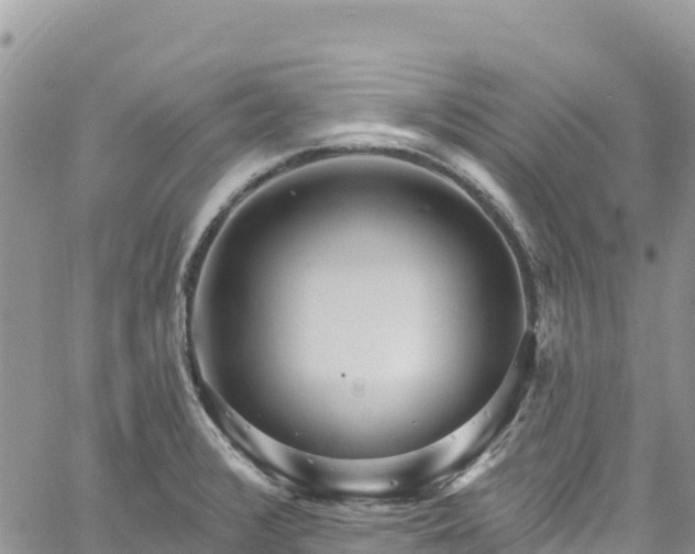 X0000061151376200511210950