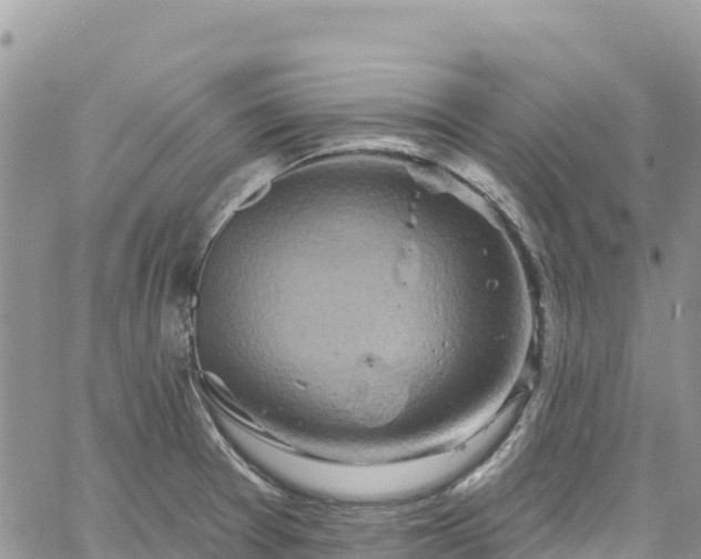 X0000061151377200511210950