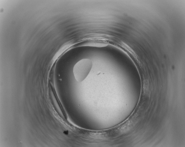 X0000061151378200511210950