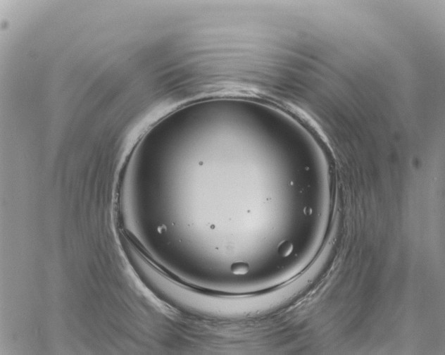 X0000061151379200511210950