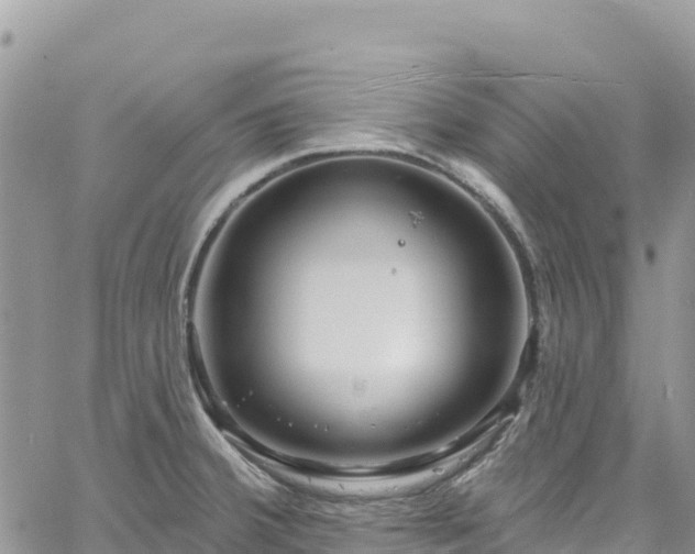 X0000061151380200511210950