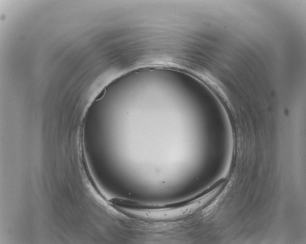 X0000061151382200511210950