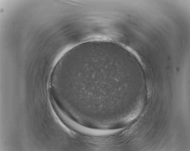 X0000061151383200511210950