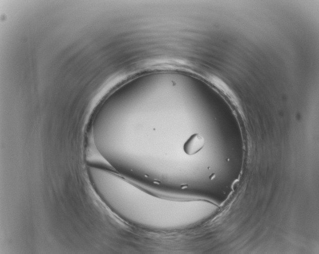 X0000061151384200511210950