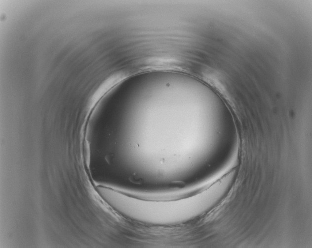 X0000061151386200511210950