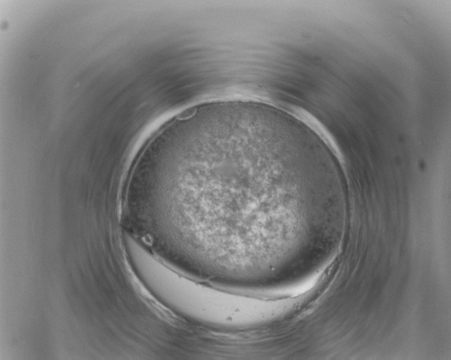 X0000061151388200511210950