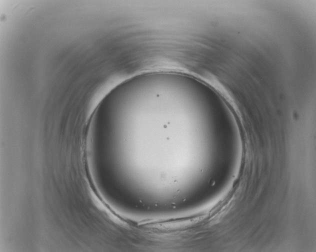 X0000061151390200511210950