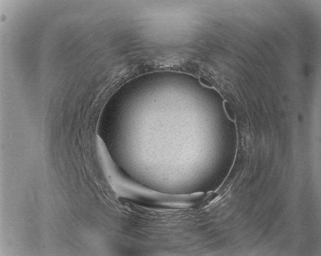 X0000061151393200511210949