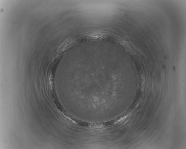 X0000061151394200511210949