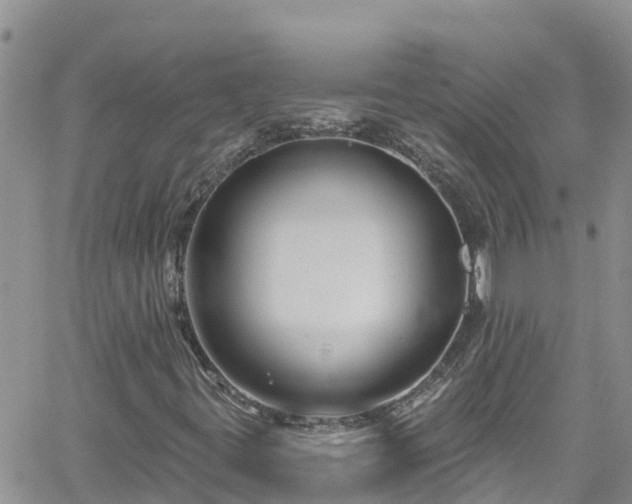 X0000061151395200511210949