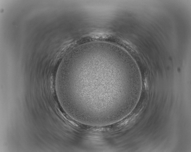 X0000061151396200511210949