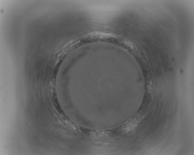 X0000061151397200511210949