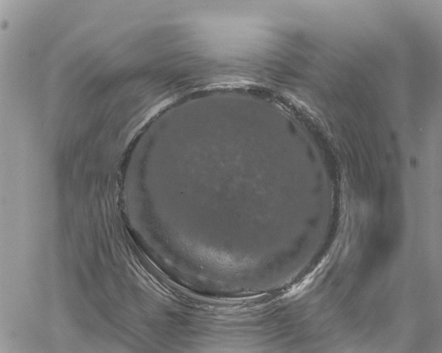 X0000061151401200511210949