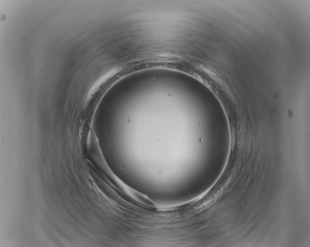 X0000061151402200511210949